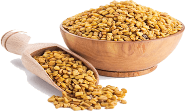 Fenugreek Seeds