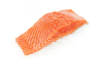 Salmon