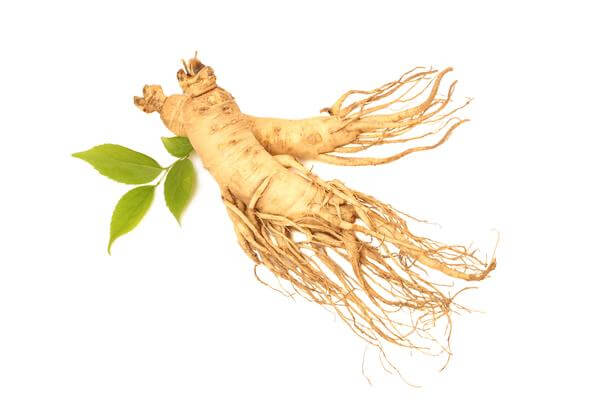 Ginseng