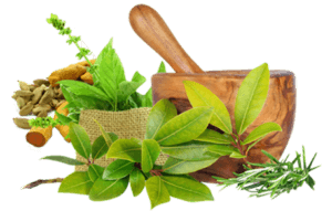 Ayurvedic Medicine